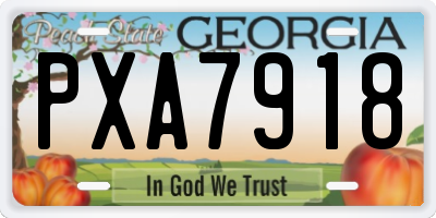 GA license plate PXA7918
