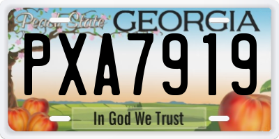 GA license plate PXA7919