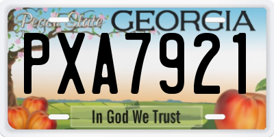 GA license plate PXA7921