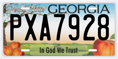 GA license plate PXA7928
