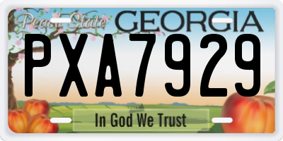 GA license plate PXA7929