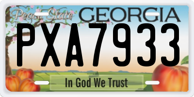 GA license plate PXA7933