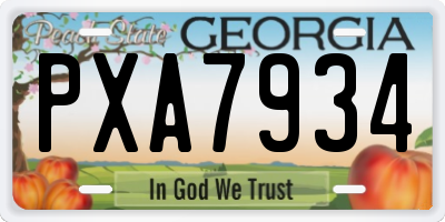 GA license plate PXA7934