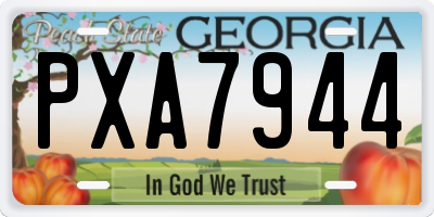 GA license plate PXA7944