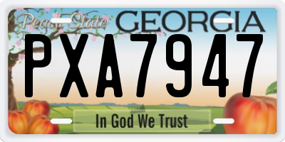 GA license plate PXA7947