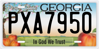 GA license plate PXA7950