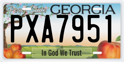 GA license plate PXA7951