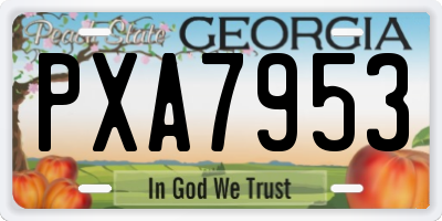 GA license plate PXA7953