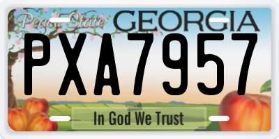 GA license plate PXA7957