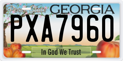 GA license plate PXA7960