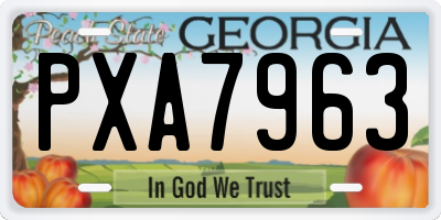 GA license plate PXA7963
