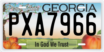 GA license plate PXA7966