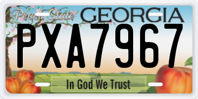GA license plate PXA7967