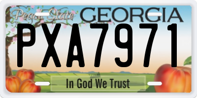 GA license plate PXA7971