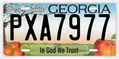 GA license plate PXA7977