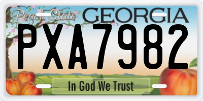 GA license plate PXA7982