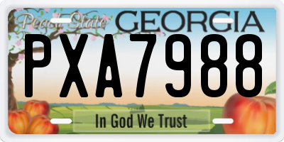 GA license plate PXA7988