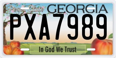 GA license plate PXA7989