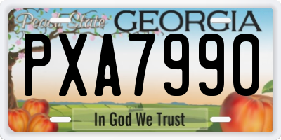 GA license plate PXA7990