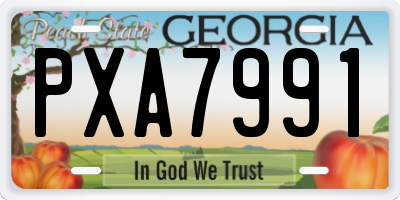GA license plate PXA7991