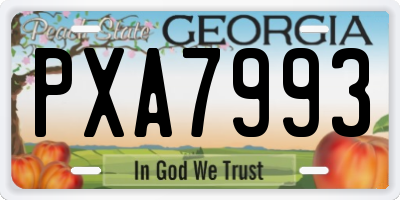 GA license plate PXA7993