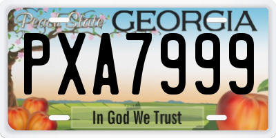 GA license plate PXA7999