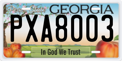 GA license plate PXA8003