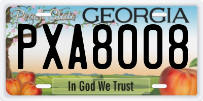 GA license plate PXA8008