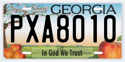GA license plate PXA8010