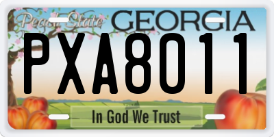 GA license plate PXA8011
