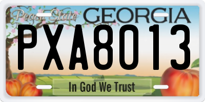 GA license plate PXA8013