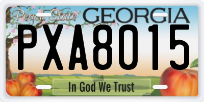 GA license plate PXA8015