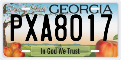 GA license plate PXA8017