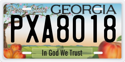 GA license plate PXA8018