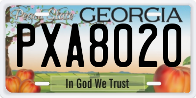 GA license plate PXA8020