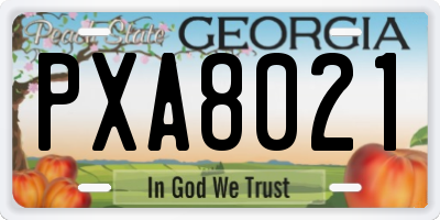 GA license plate PXA8021