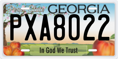 GA license plate PXA8022