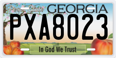 GA license plate PXA8023