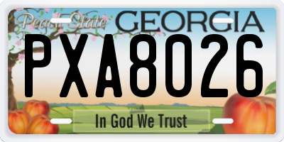 GA license plate PXA8026