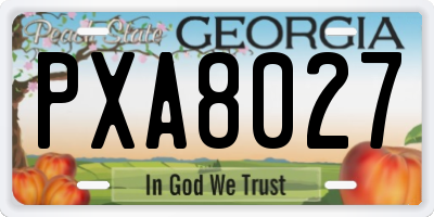 GA license plate PXA8027