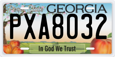 GA license plate PXA8032