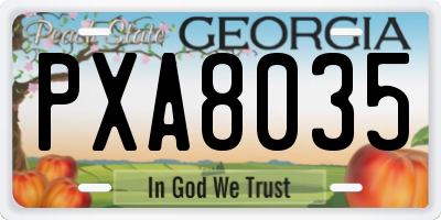GA license plate PXA8035