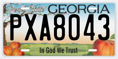 GA license plate PXA8043