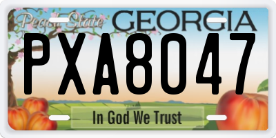 GA license plate PXA8047