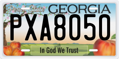 GA license plate PXA8050