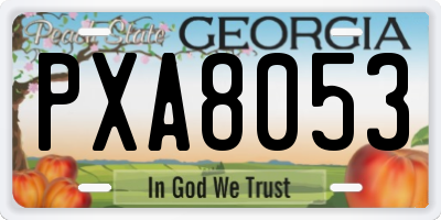 GA license plate PXA8053