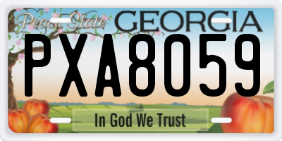 GA license plate PXA8059