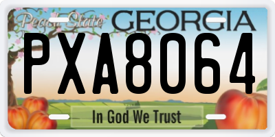 GA license plate PXA8064