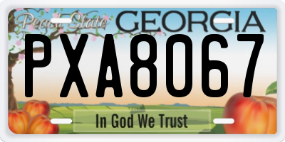 GA license plate PXA8067