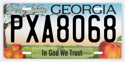 GA license plate PXA8068